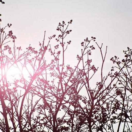 Pentingnya Istirahat Cukup bagi Produktivitas Harian