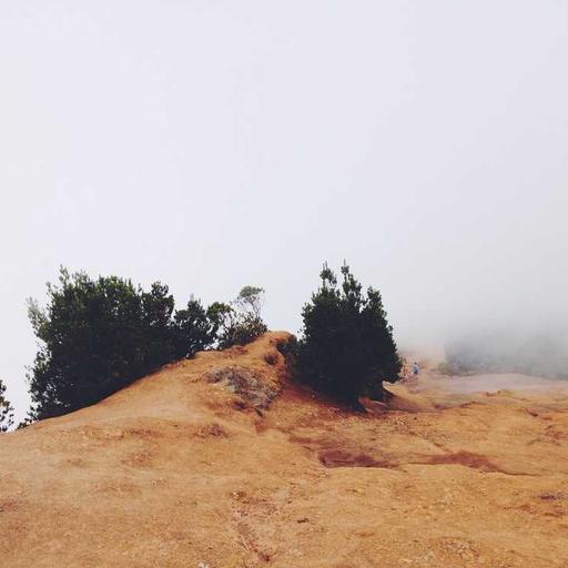 Trik Menabung Meski Penghasilan Terbatas